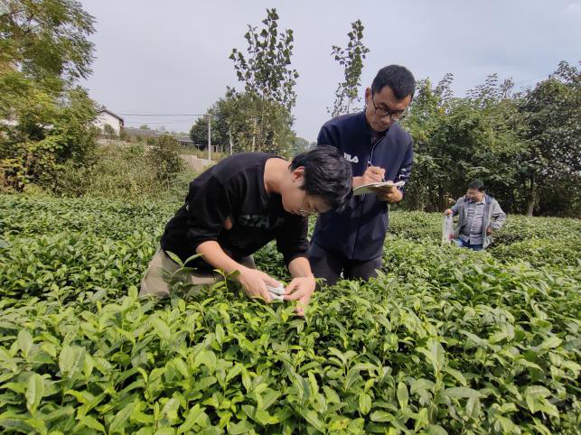 省植物病理学会赴信阳开展植物诱抗剂试验