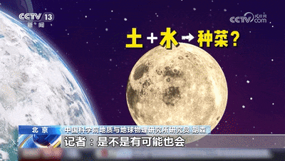 未来能在月球种菜吗？最新研究→