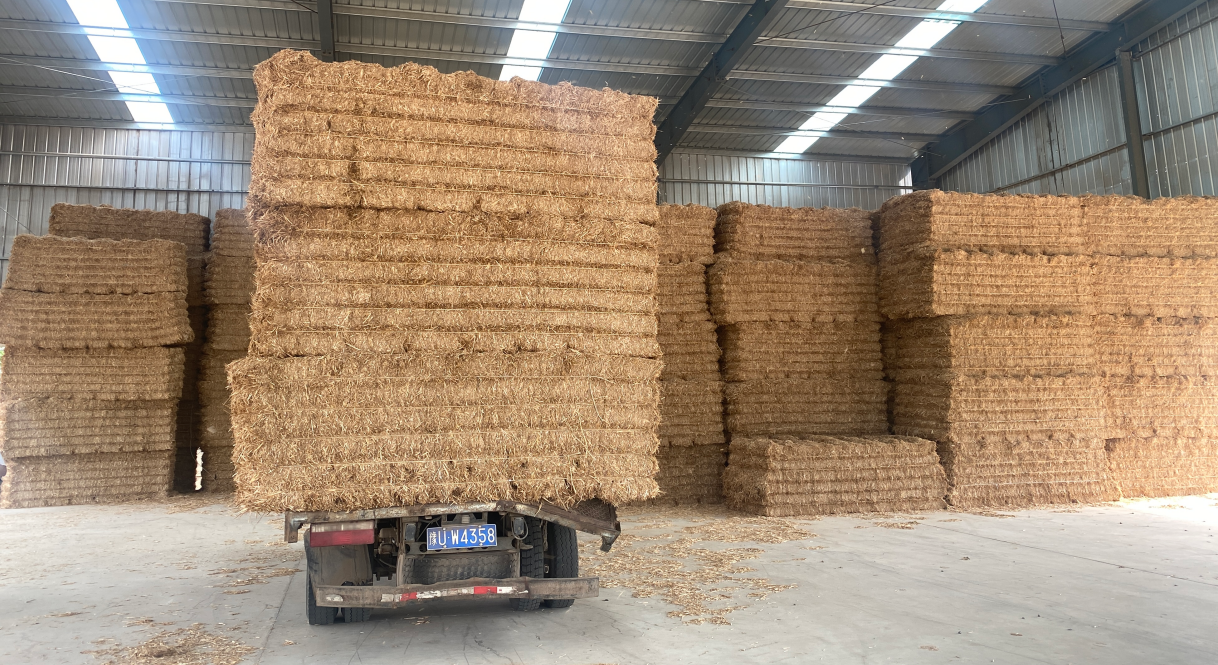 科研助力+政策护航！河南济源发起秸秆黄储“价值变革”