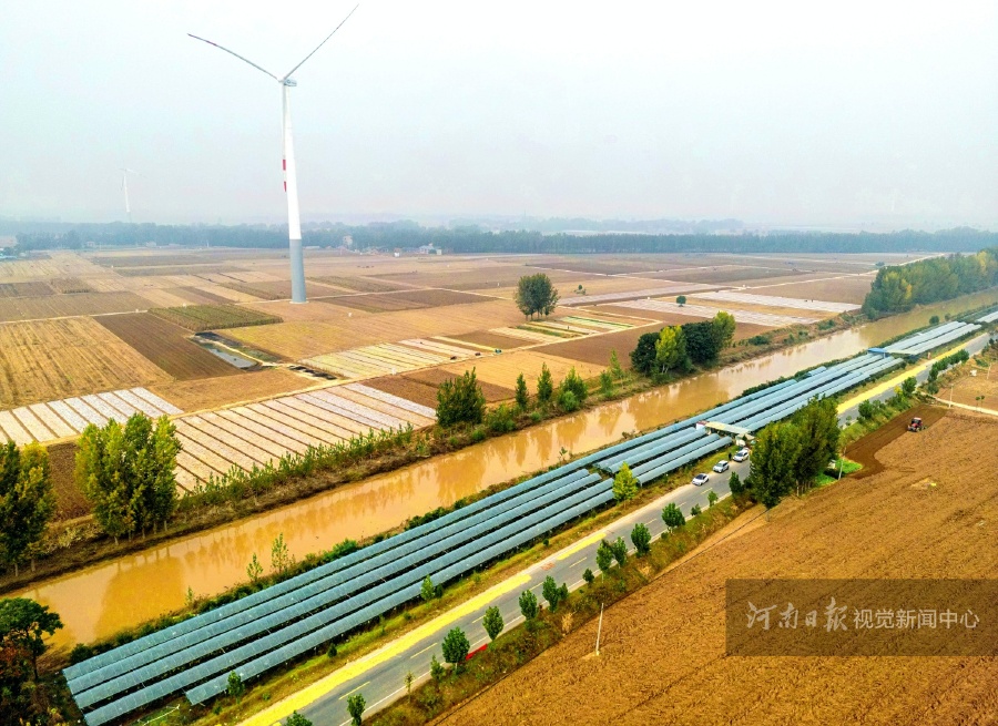 滑县老爷庙乡王伍寨村：荒滩变“金滩” 葡萄采摘园奏响乡村振兴“甜蜜曲”