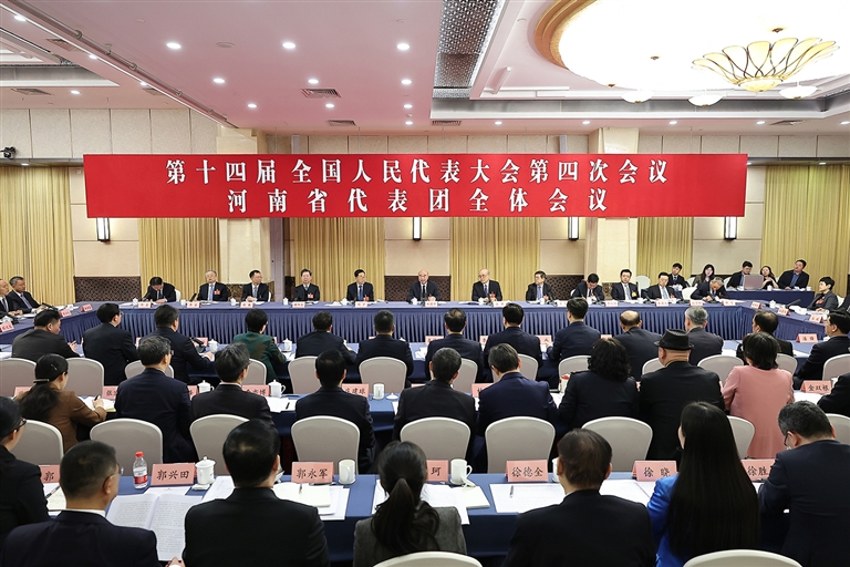 河南代表团举行全体会议审议政府工作报告 刘国中张军刘宁王凯楼阳生李纪恒等参加审议
