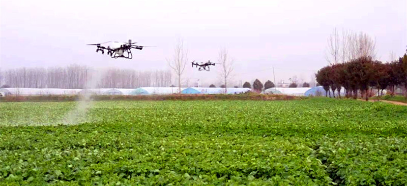 固始县：春风拂沃野 春耕春管忙