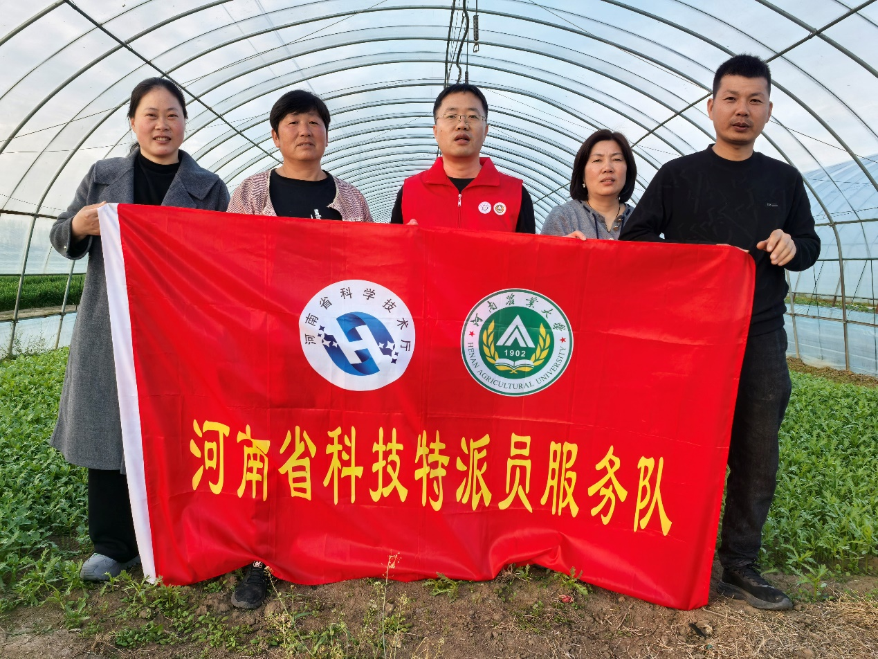 科技赋能设施农业升级——河南省科技特派员王伟赴社旗县开展智慧种植指导